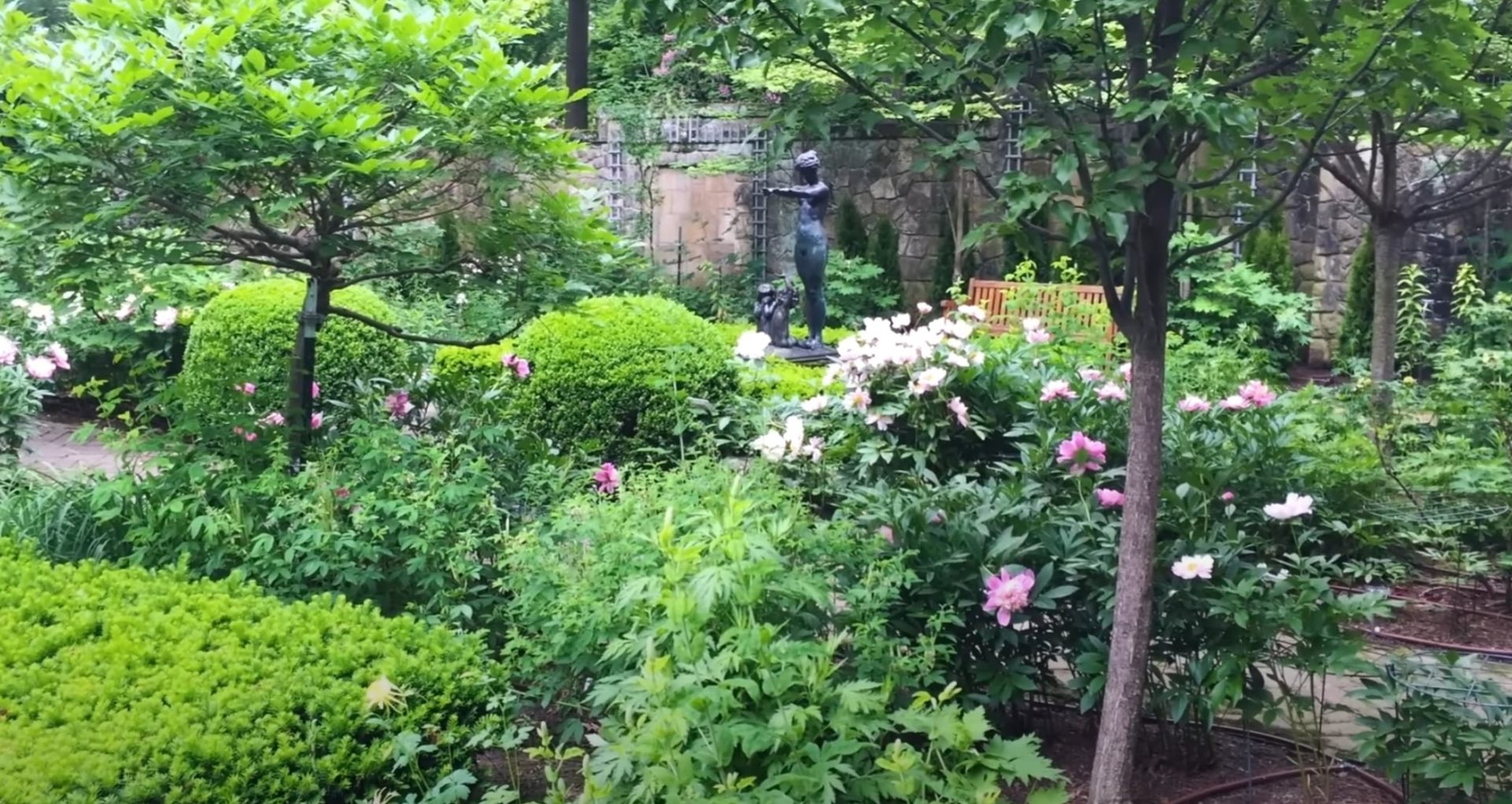 Established garden landscape with seasonal blooms and artistic stone elements Mature garden with flowering plants and decorative stone features