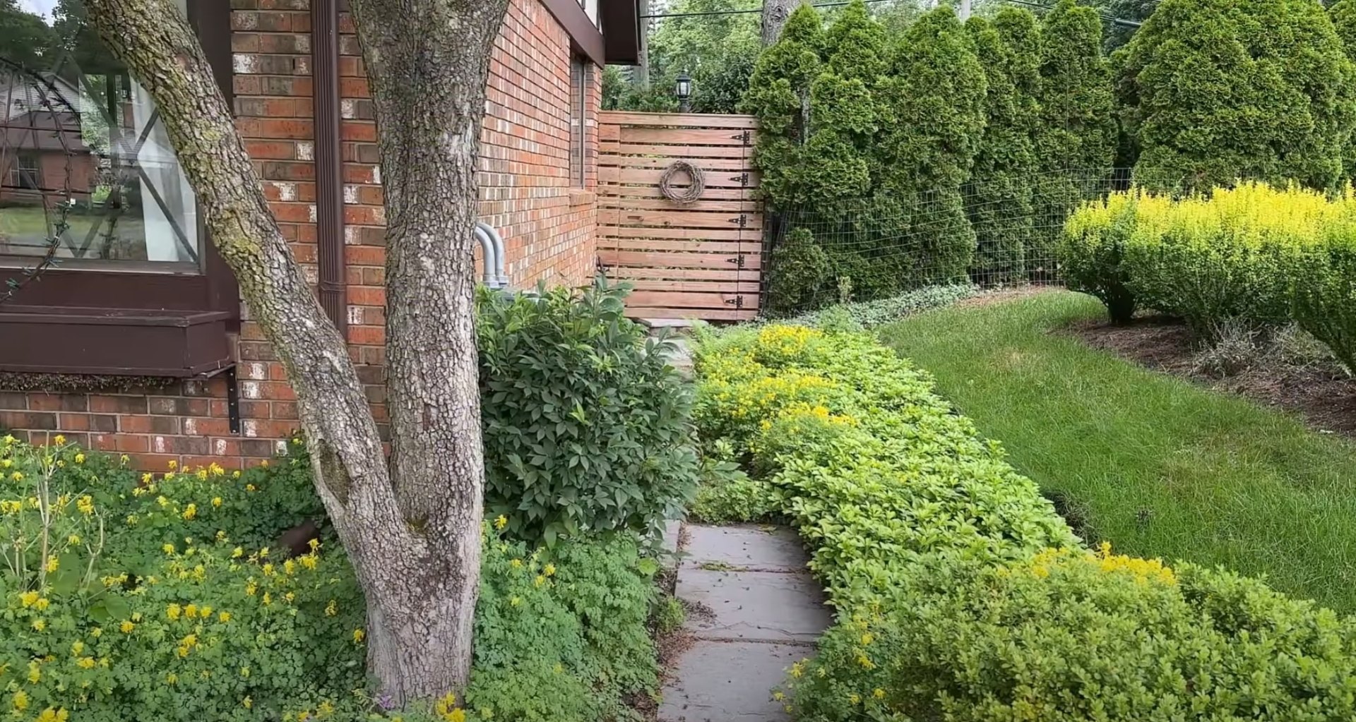 Full-service landscaping including garden design, walkways, and maintenance Comprehensive landscaping services showing lush garden beds and walkways